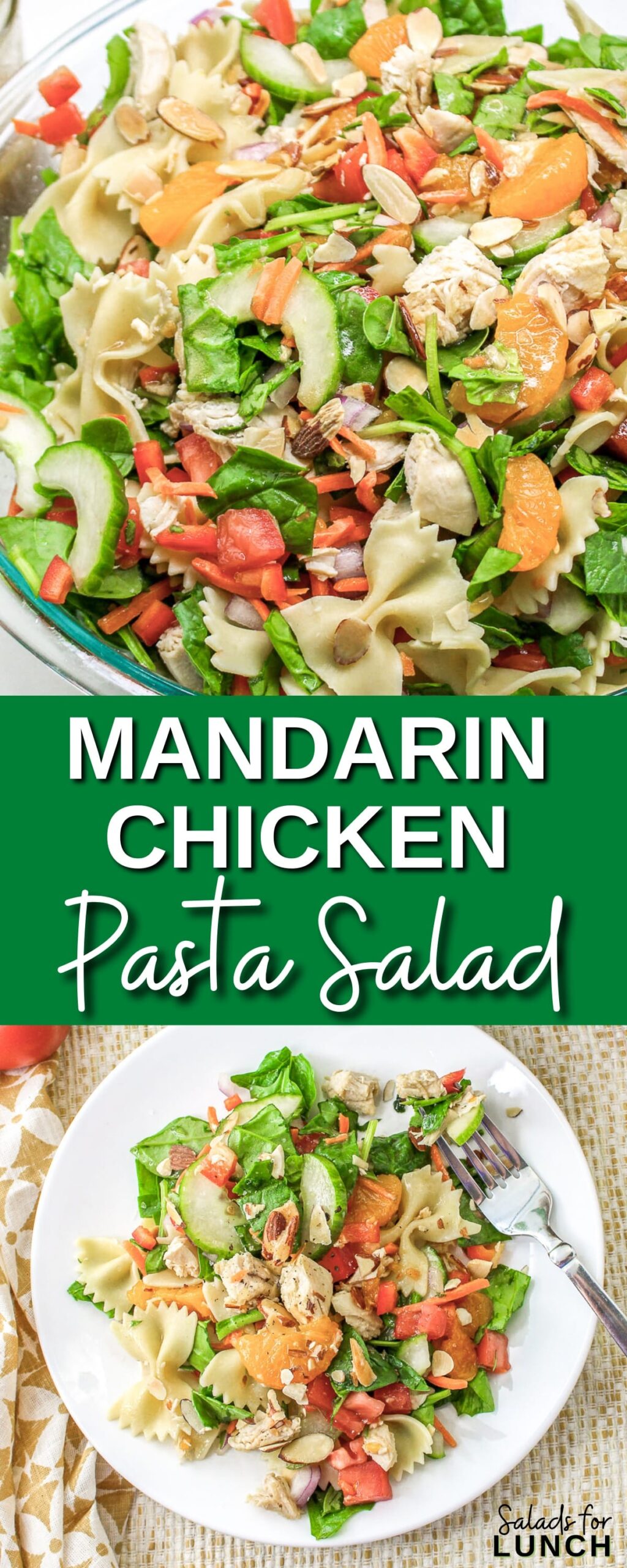 Chinese Mandarin Pasta Salad - Healthy Family Project