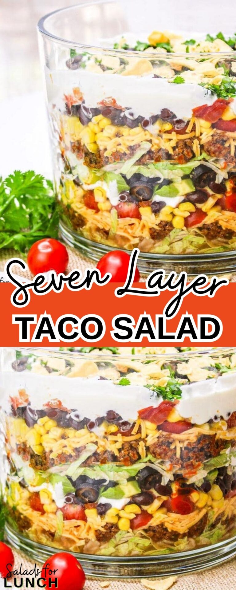 Seven Layer Taco Salad by Salads for Lunch