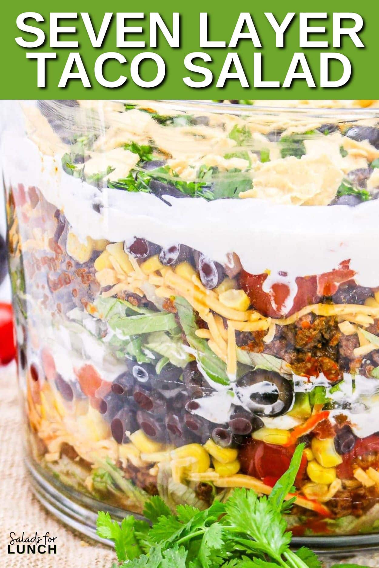 Seven Layer Taco Salad by Salads for Lunch