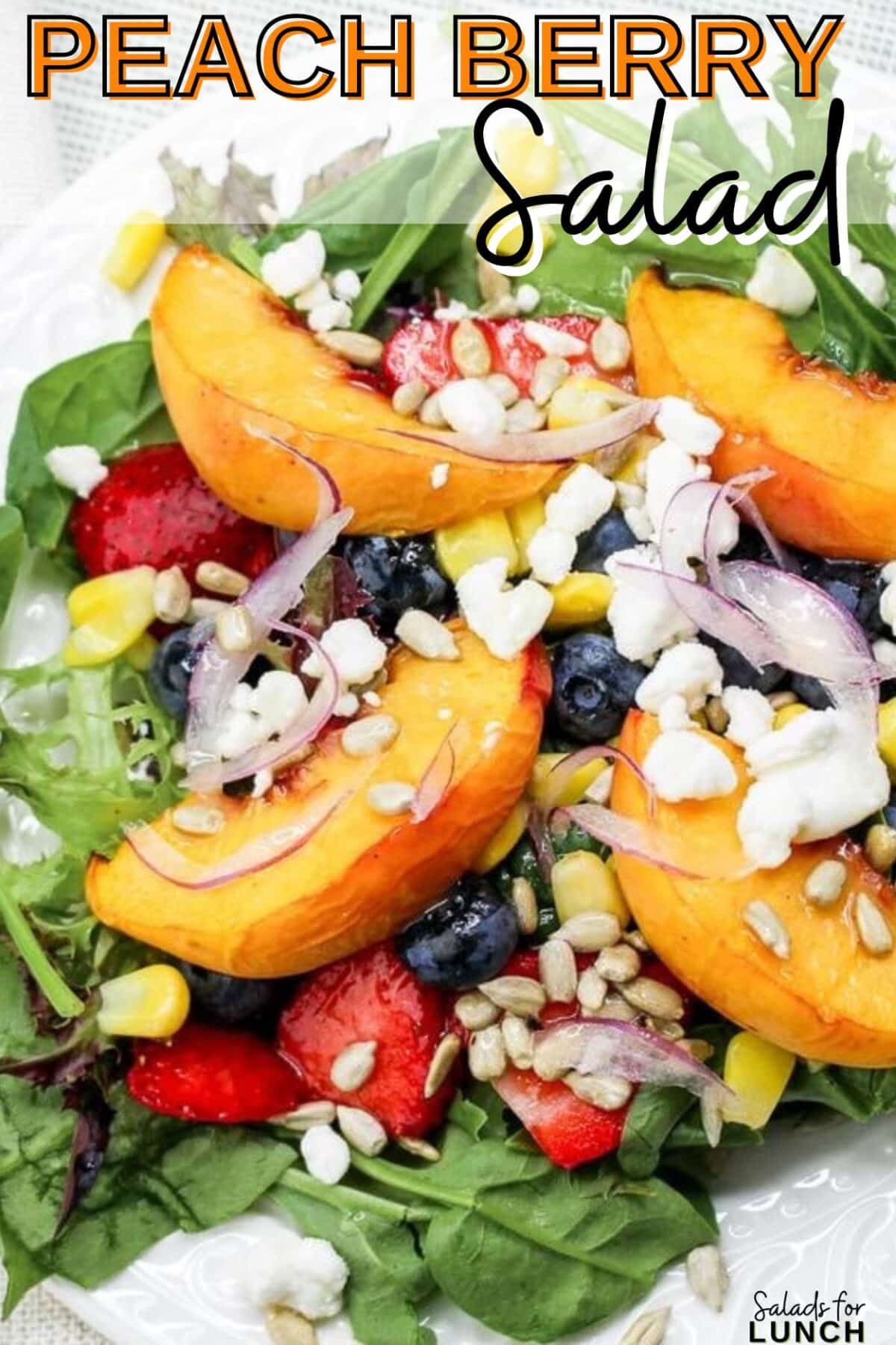 Peach Berry Salad Recipe - A Peach Berry Salad that’s perfect for a healthy lunch or dinner, bursting with fresh flavors and wholesome ingredients. It's not only easy to make but also incredibly versatile. Serve it up with some grilled chicken, shrimp, or steak to make it a hearty meal that everyone will love. So, the next time you’re looking for a refreshing, colorful, and nutritious salad, give this recipe a try. Trust me, your taste buds will thank you!