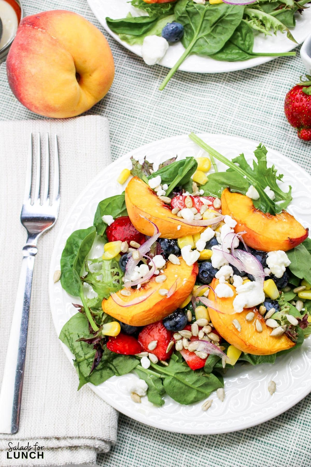 Peach Berry Salad Recipe 14 - A Peach Berry Salad that’s perfect for a healthy lunch or dinner, bursting with fresh flavors and wholesome ingredients. It's not only easy to make but also incredibly versatile. Serve it up with some grilled chicken, shrimp, or steak to make it a hearty meal that everyone will love. So, the next time you’re looking for a refreshing, colorful, and nutritious salad, give this recipe a try. Trust me, your taste buds will thank you!