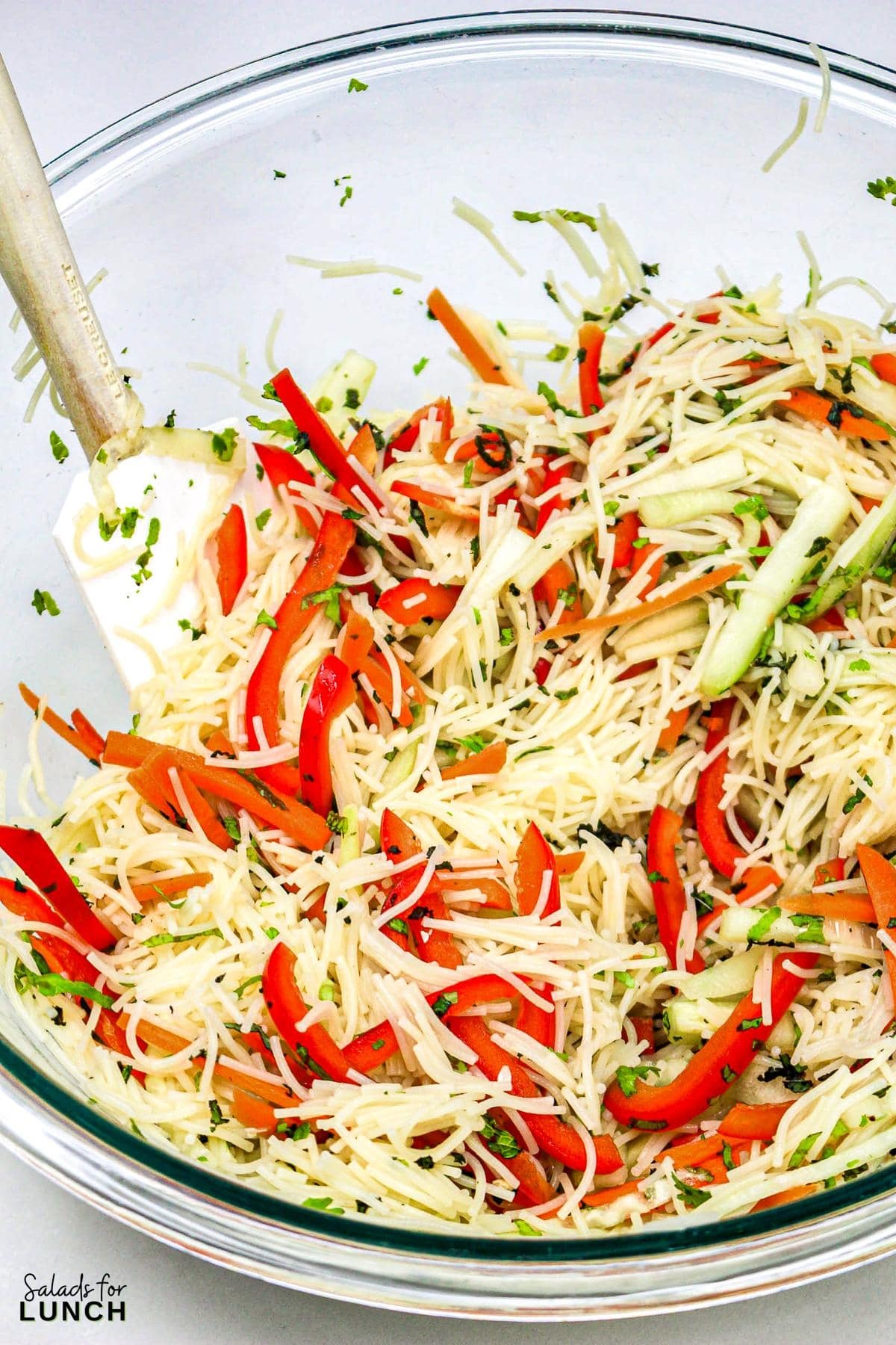 Vermcelli Salad Recipe 14 - Meet the Vermicelli Salad with Sesame Ginger Dressing—your new favorite salad! This delightful dish is a perfect blend of silky rice vermicelli noodles, crisp, crunchy veggies, and a tangy, savory dressing that’s bursting with flavor. Whether you’re craving a quick lunch, a light dinner, or a side dish to go with grilled meats or seafood, this salad ticks all the boxes. It’s so versatile that it works just as well for a cozy fall meal as it does for a breezy summer lunch.