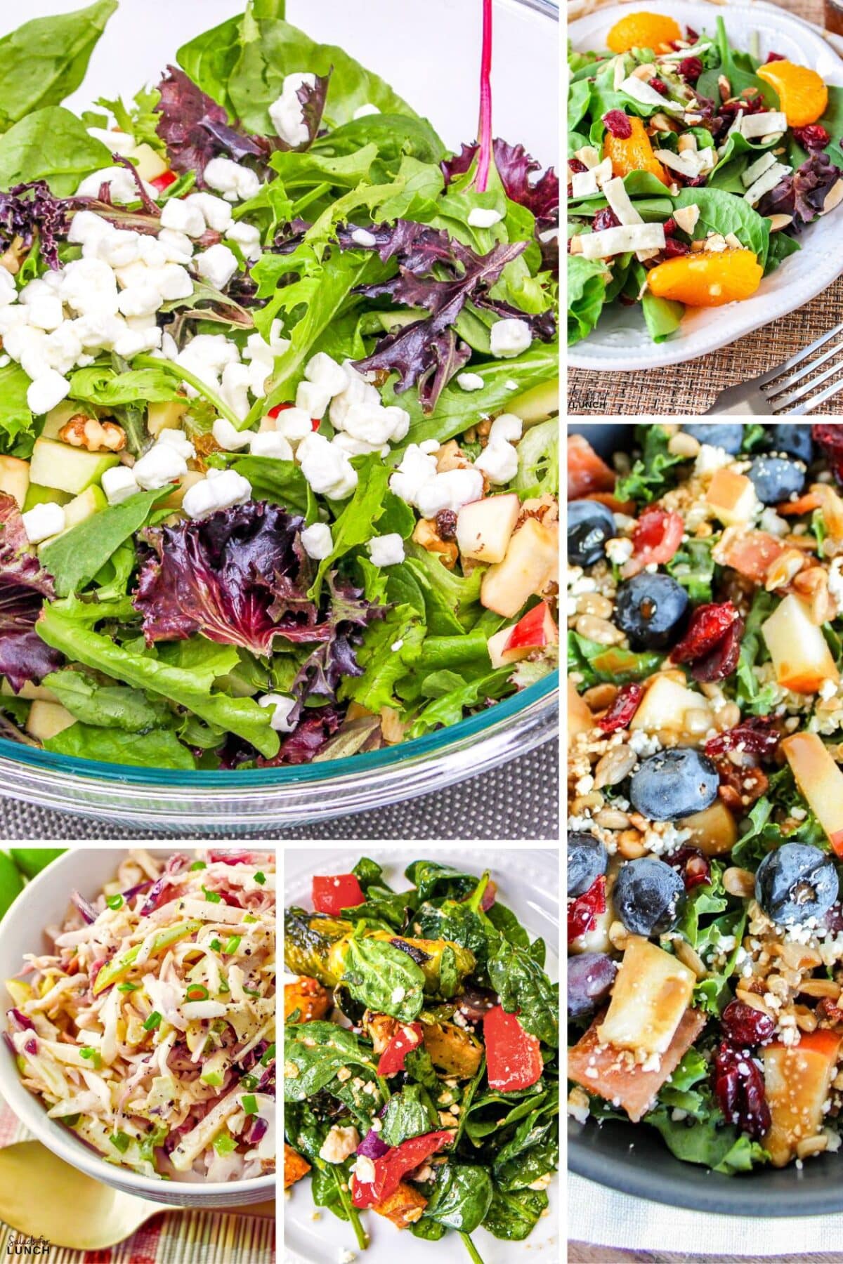 24 Healthy Winter Salads to Make in January