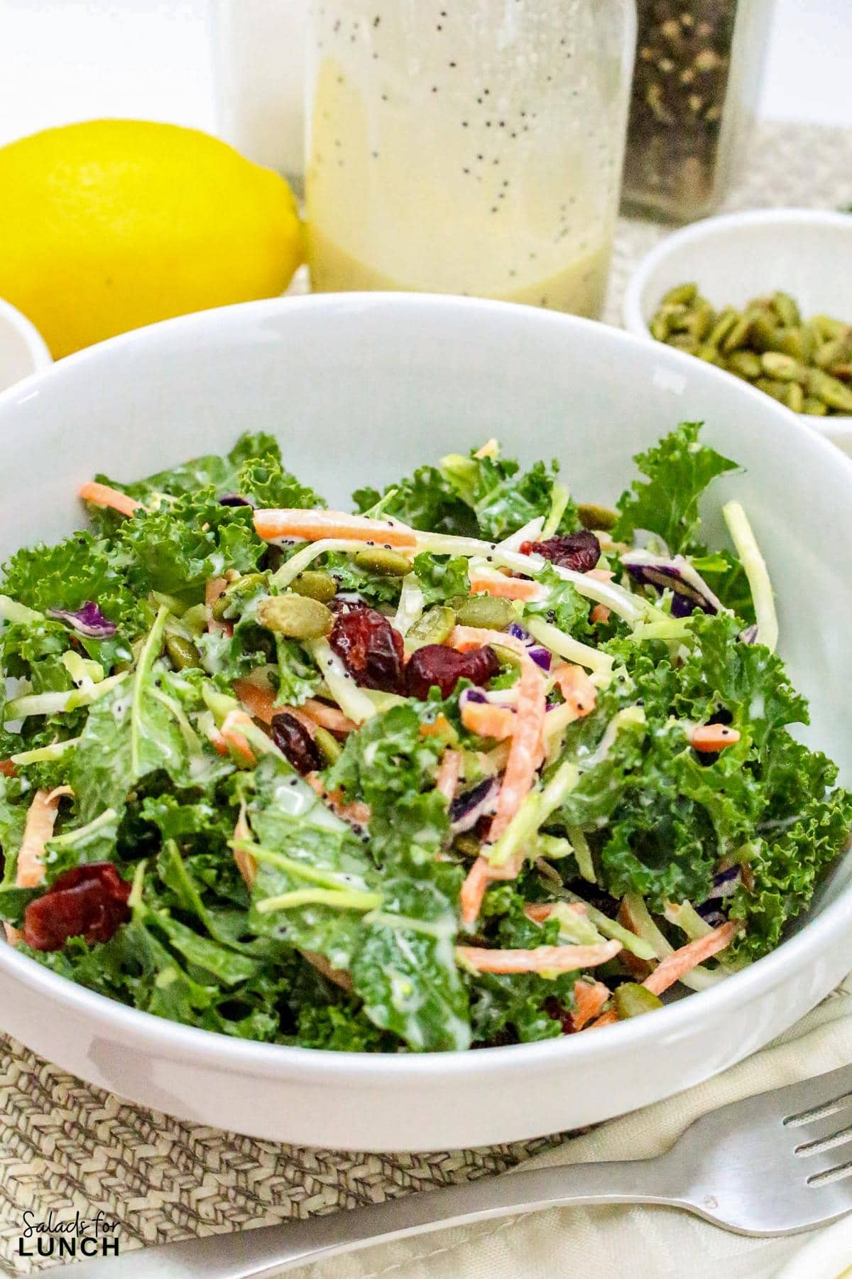 Sweet Kale Salad Poppy Seed Dressing Recipe 25 - This Sweet Kale Salad with Poppy Seed Dressing is a fresh, flavorful, and easy-to-make side dish that’s perfect for spring gatherings. It’s packed with wholesome ingredients and has a creamy, tangy dressing that brings everything together. Whether you’re serving it at Easter dinner or prepping it for a weekday meal, this salad is sure to be a hit!