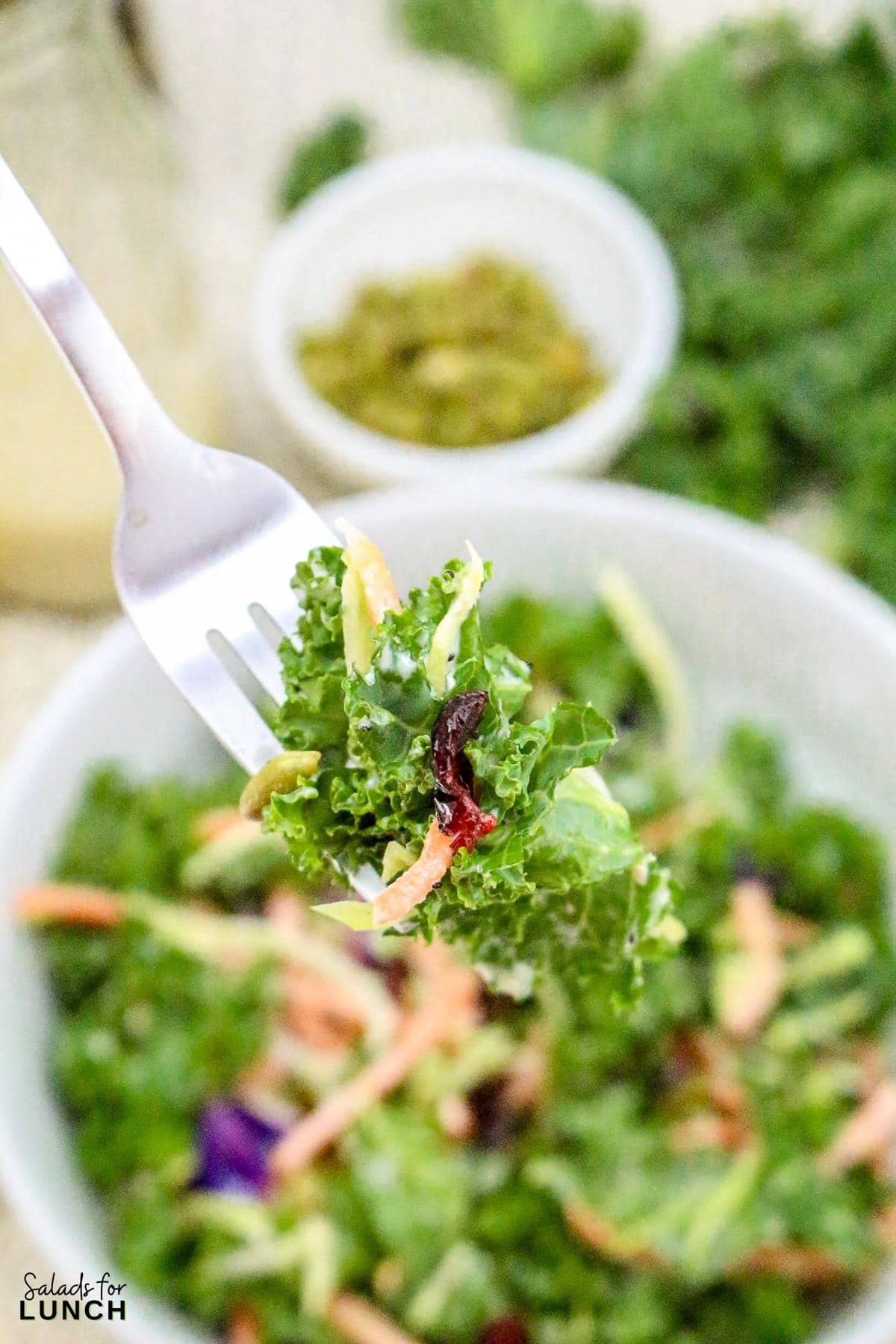 Sweet Kale Salad Poppy Seed Dressing Recipe 33 - This Sweet Kale Salad with Poppy Seed Dressing is a fresh, flavorful, and easy-to-make side dish that’s perfect for spring gatherings. It’s packed with wholesome ingredients and has a creamy, tangy dressing that brings everything together. Whether you’re serving it at Easter dinner or prepping it for a weekday meal, this salad is sure to be a hit!