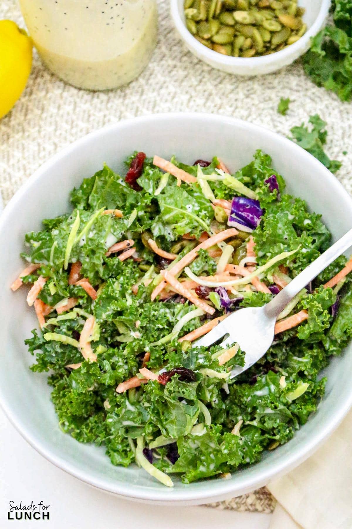 Sweet Kale Salad Poppy Seed Dressing Recipe 36 - This Sweet Kale Salad with Poppy Seed Dressing is a fresh, flavorful, and easy-to-make side dish that’s perfect for spring gatherings. It’s packed with wholesome ingredients and has a creamy, tangy dressing that brings everything together. Whether you’re serving it at Easter dinner or prepping it for a weekday meal, this salad is sure to be a hit!