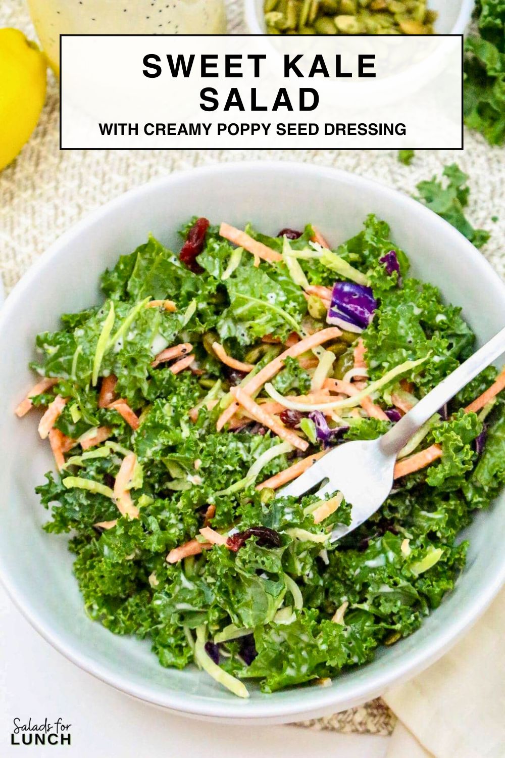 Sweet Kale Salad Recipe - This Sweet Kale Salad with Poppy Seed Dressing is a fresh, flavorful, and easy-to-make side dish that’s perfect for spring gatherings. It’s packed with wholesome ingredients and has a creamy, tangy dressing that brings everything together. Whether you’re serving it at Easter dinner or prepping it for a weekday meal, this salad is sure to be a hit!